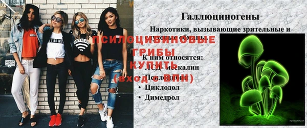 кокс Михайлов