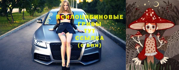 кокс Михайлов