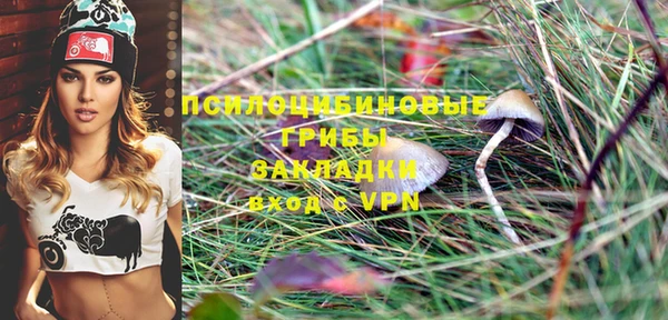 кокс Михайлов