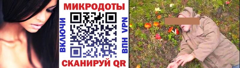 где можно купить наркотик  Фокино  Псилоцибиновые грибы Magic Shrooms 